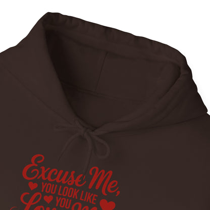 Excuse Me, You Look Like Love Me Hoodie
