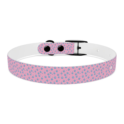 Pink Floral Paw Print Dog Collar — Cute Small Dog Collar for Puppies & Adults
