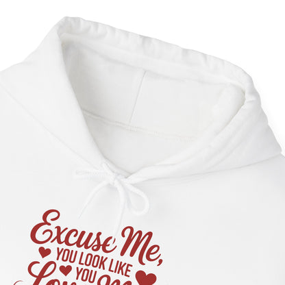 Excuse Me, You Look Like Love Me Hoodie