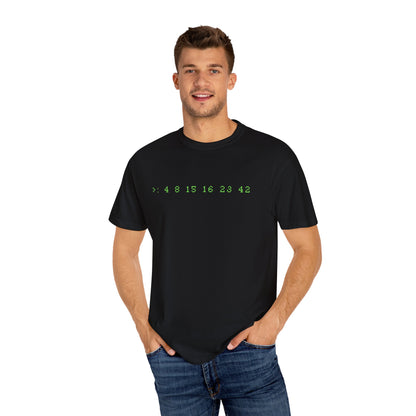 4 8 15 16 23 42 - LOST Numbers Comfort Colors T-Shirt