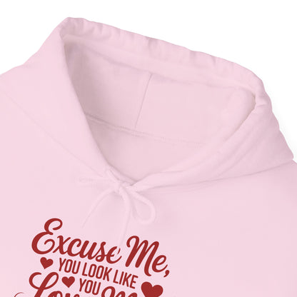 Excuse Me, You Look Like Love Me Hoodie