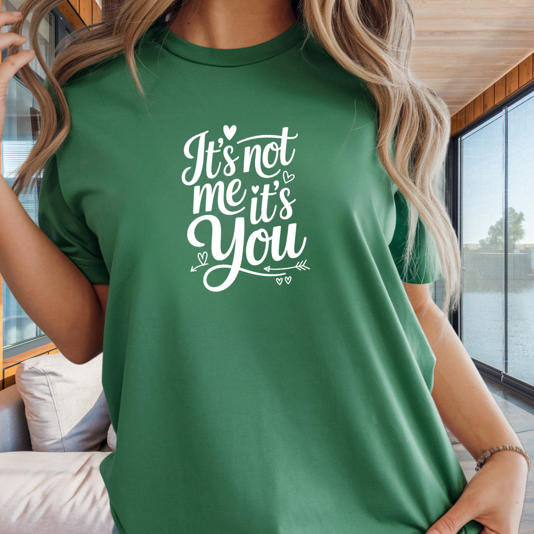 It's Not Me It's You T-Shirt — Funny Breakup Graphic Tee