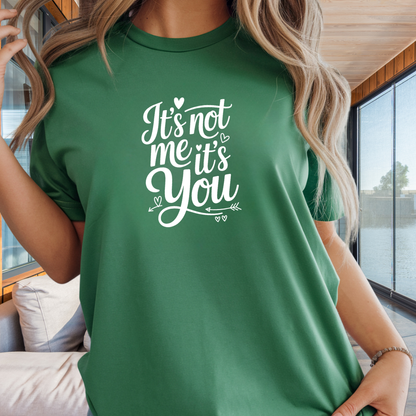 It's Not Me It's You T-Shirt — Funny Breakup Graphic Tee