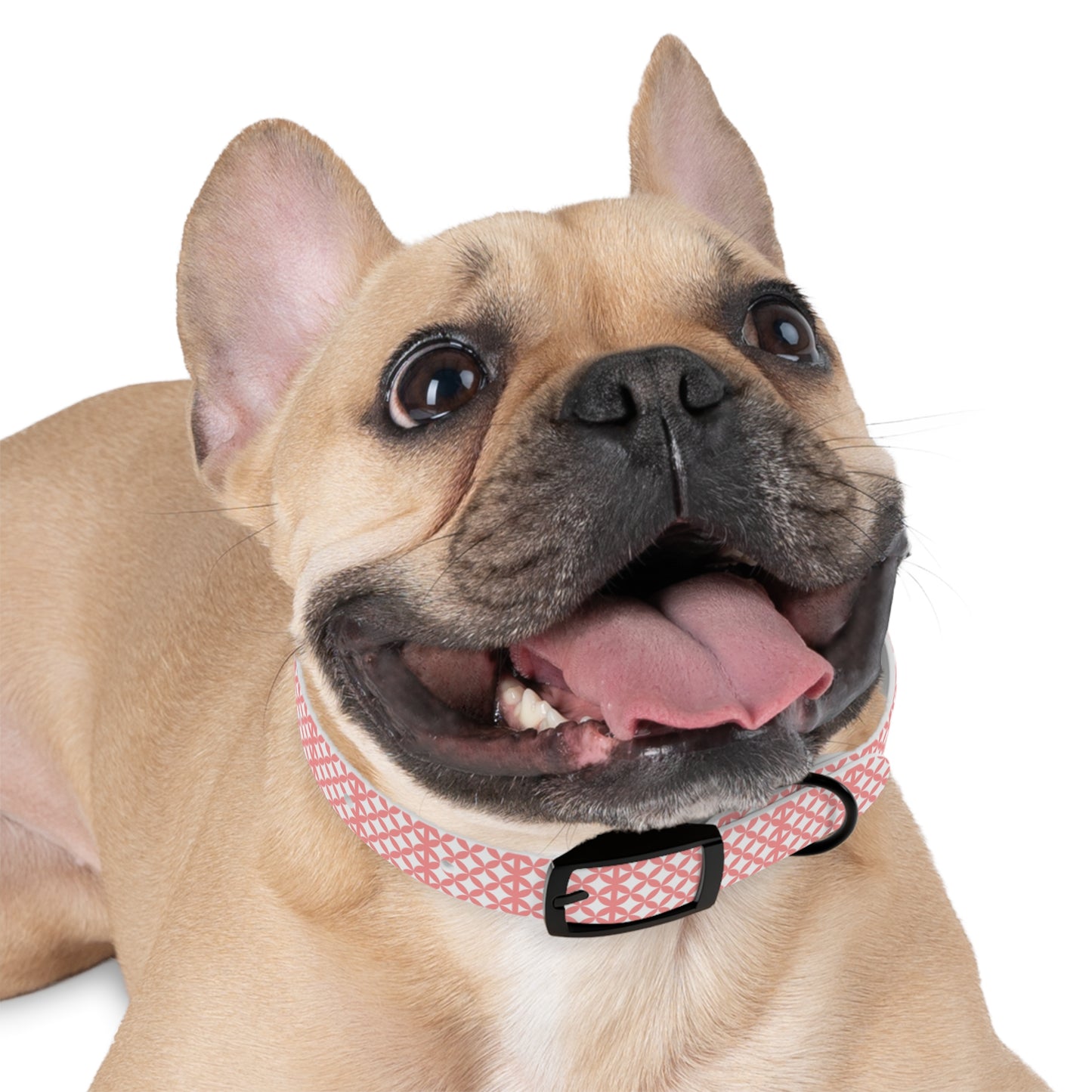 Personalized Pink Geo Dog Collar — Custom Name & Phone Number